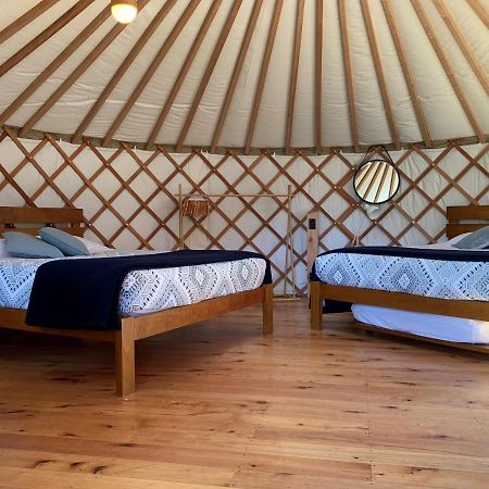 Oasis Yurt Lodge Wanaka Exterior photo